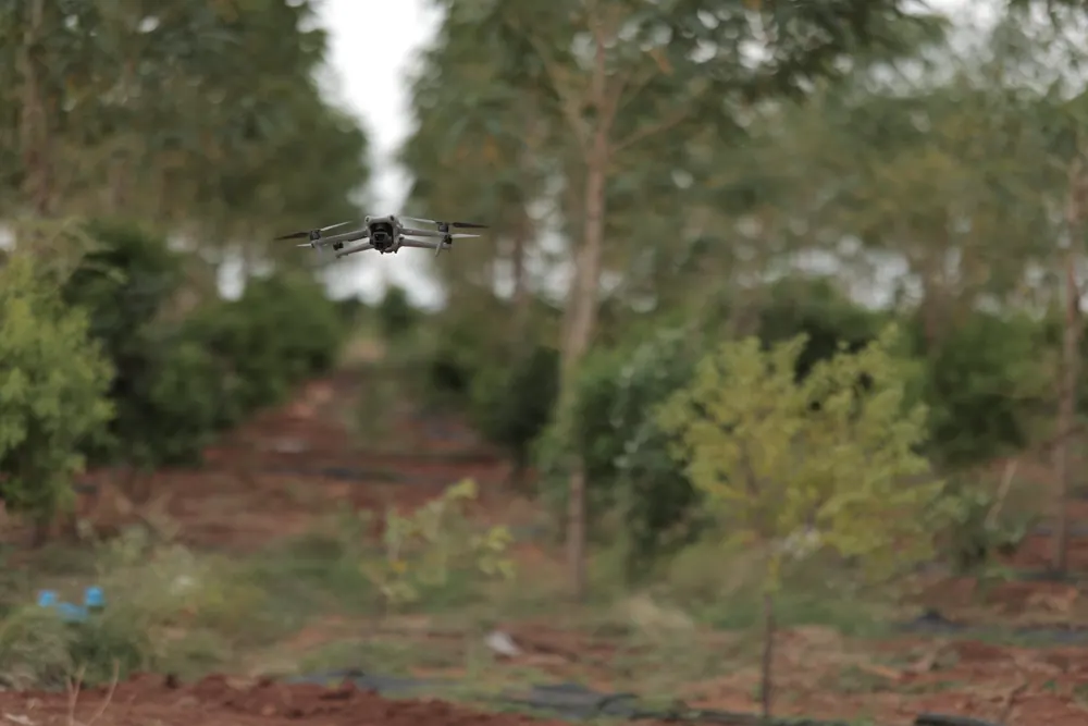 Drone monitoring the sandalwood plantation at GreenX