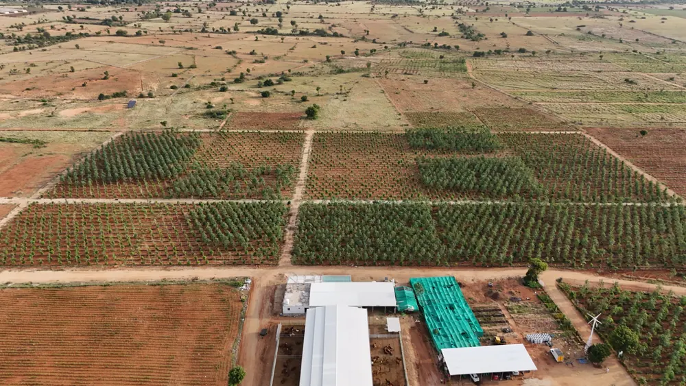 Aerial view of managed farmland plots at GreenX near Lepakshi